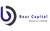 Bear Capital Ventures Limited Logo