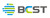 Jiangsu BCST Group Co.,Ltd. Logo