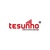 Quanzhou TESUNHO Electronics Co.,Ltd Logo