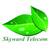 Skyward Telecom Communications Co., Ltd. Logo